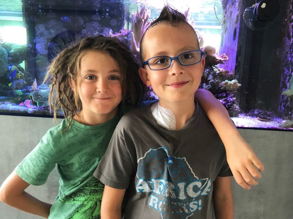 GoGetFunding's tweet photo. 9-year-old Liam is bravely fighting a brain tumour, and his campaign has already raised HK$ 260,000 to help so far: https://t.co/B2UWisYcOO #HelpLiam #Cancer #GoGetFunding https://t.co/xXbQCfLK6d