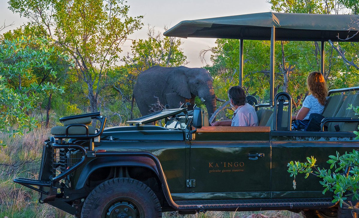 kaingo_reserve's tweet photo. Come browse around on our NEWLY UPGRADED WEBSITE and let us know what you think... - https://t.co/fToRFDum3u https://t.co/mIJfsLrsNx