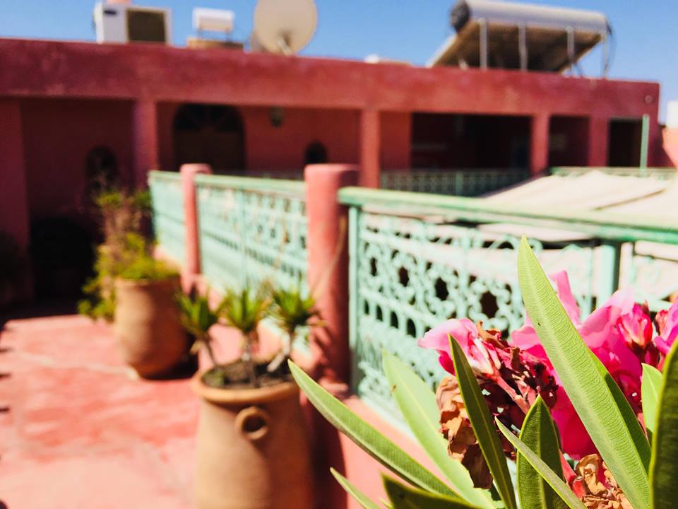 RiadYima's tweet photo. If you could be anywhere on a beautiful sunny day like today, where would you be?

#summer #summertime #sun #hot #sunny #warm #fun #beautiful #sky #clearskys  #photooftheday #nature #clearsky #bluesky #vacationtime #summerweather #sunshine #summertimeshine https://t.co/QfCdXUkf1z