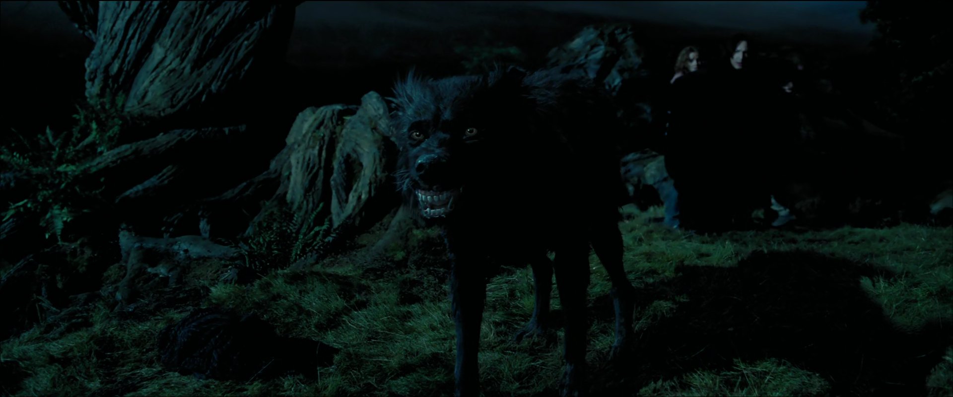 He's Got Padfoot At The Place Where It's Hidden 𝕞𝕠𝕧𝕚𝕖𝕡𝕠𝕝𝕝𝕫 on Twitter: "Not only did they change the look of the