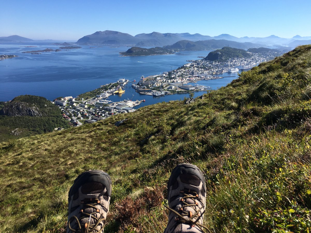 Tom Patterson tweet media