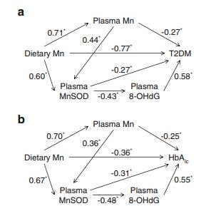 DiabetologiaJnl's tweet photo. Dietary Mn was inversely associated with #T2D, and association was stronger in diets with higher total #antioxidantcapacity. #Oxidativestress was an important mediator https://t.co/oBEynC8Kp2 https://t.co/DrILfCIJFf