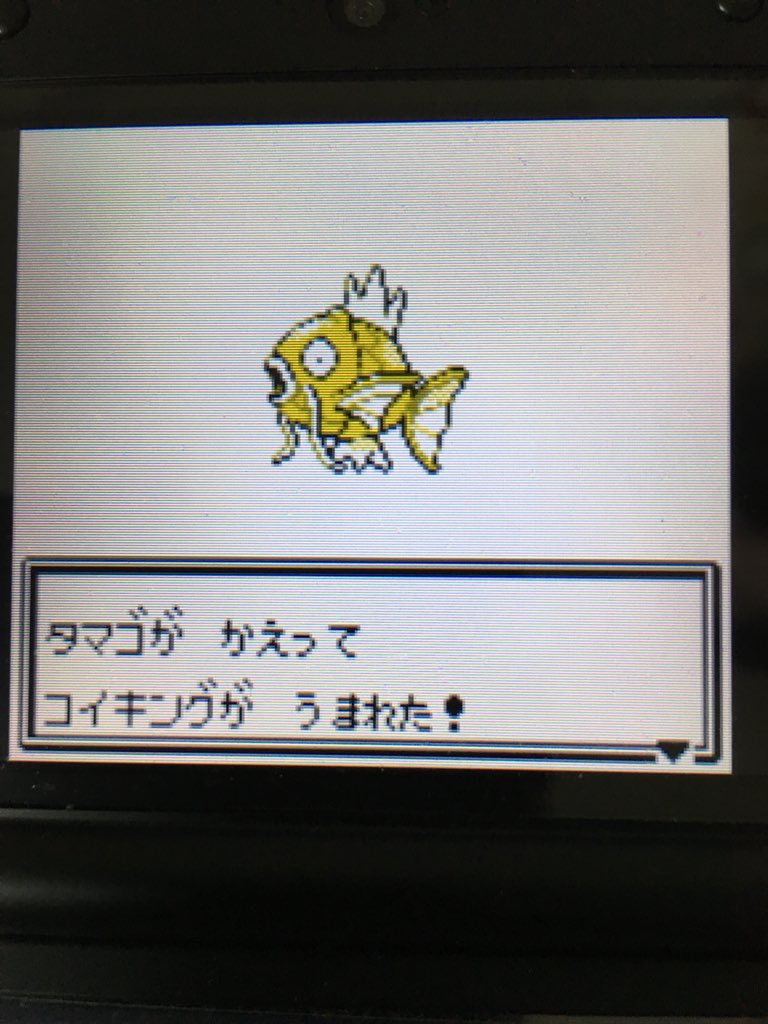 色違いポケモン紹介 Vc産コイキング 自由に生きてあそblog