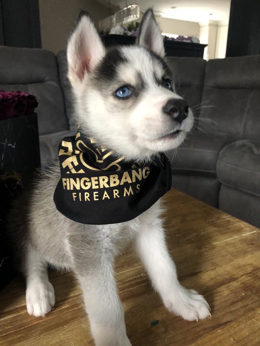 Look at da baby 🖤 #mishka #fingerbangfirearms https://t.co/GkM1P46roh<a href="/tag/mishka"class="tags">#mishka</a><a href="/tag/fingerbangfirearms"class="tags">#fingerbangfirearms</a>