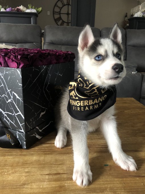 Look at da baby 🖤 #mishka #fingerbangfirearms https://t.co/GkM1P46roh<a href="/tag/mishka"class="tags">#mishka</a><a href="/tag/fingerbangfirearms"class="tags">#fingerbangfirearms</a>