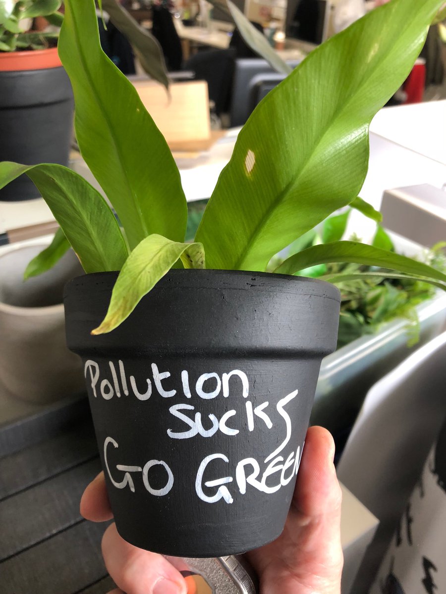 thomasplantman's tweet photo. #plantsatworkweek  spreading the good work of plants with one of our new customers #whocanitbe #UrbanPlanters #valueofplants https://t.co/Co0LVHFMGG