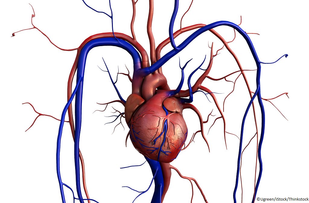 APHP's tweet photo. Insuffisance cardiaque sévère : le programme de R&amp;D CALYPSO va bénéficier d'un financement dans le cadre du Programme d'investissements d'avenir pour améliorer la prise en  charge des patients https://t.co/DuaRTi7acj https://t.co/S1udx97BUT