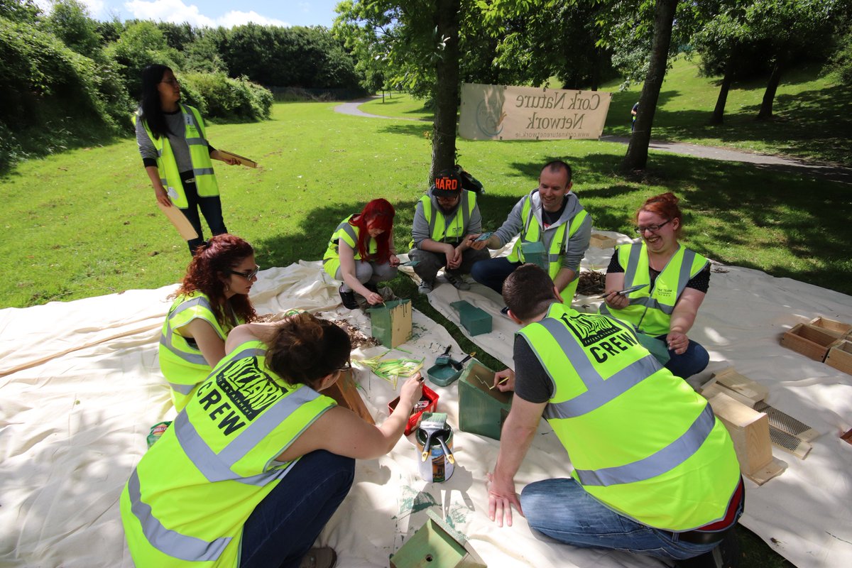Blizzard_IE's tweet photo. Many thanks to @MallowMensShed and Ballyphehane Men's Shed for building and providing such lovely bird, bat and bug boxes. Both school kids and volunteers had a blast painting boxes and learning about the wildlife in our urban parks 😊 #TheMoreYouKnow #NorthMon https://t.co/QaHrCfGicC