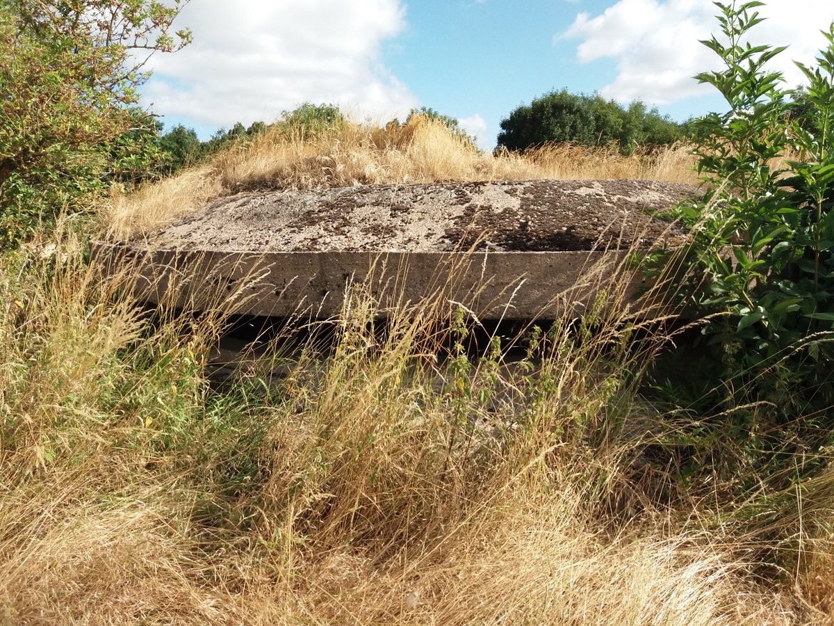 Baddileyram's tweet photo. F C Construction #mushroom #ww2 #pillbox which was part of #RAFBurnaston lovely stuff ! #Derbyshire #RAF #ww2pillboxes @PillboxSG https://t.co/8rvzFS5YlL