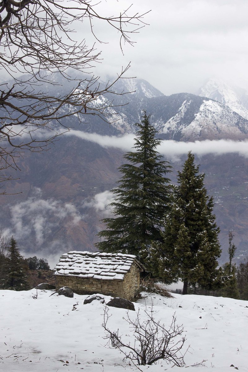 UTDBofficial's tweet photo. Photo of the day: Doesn't it look like a Paradise?
Breathtaking view from Munsiyari, Uttarakhand.
Courtesy - Saurabh Srivastava
#HillsOfUttarakhand #Munsiyari #Nature #Beauty #Snow #Glacier #Trek #SimplyHeaven https://t.co/lJqhwGhino