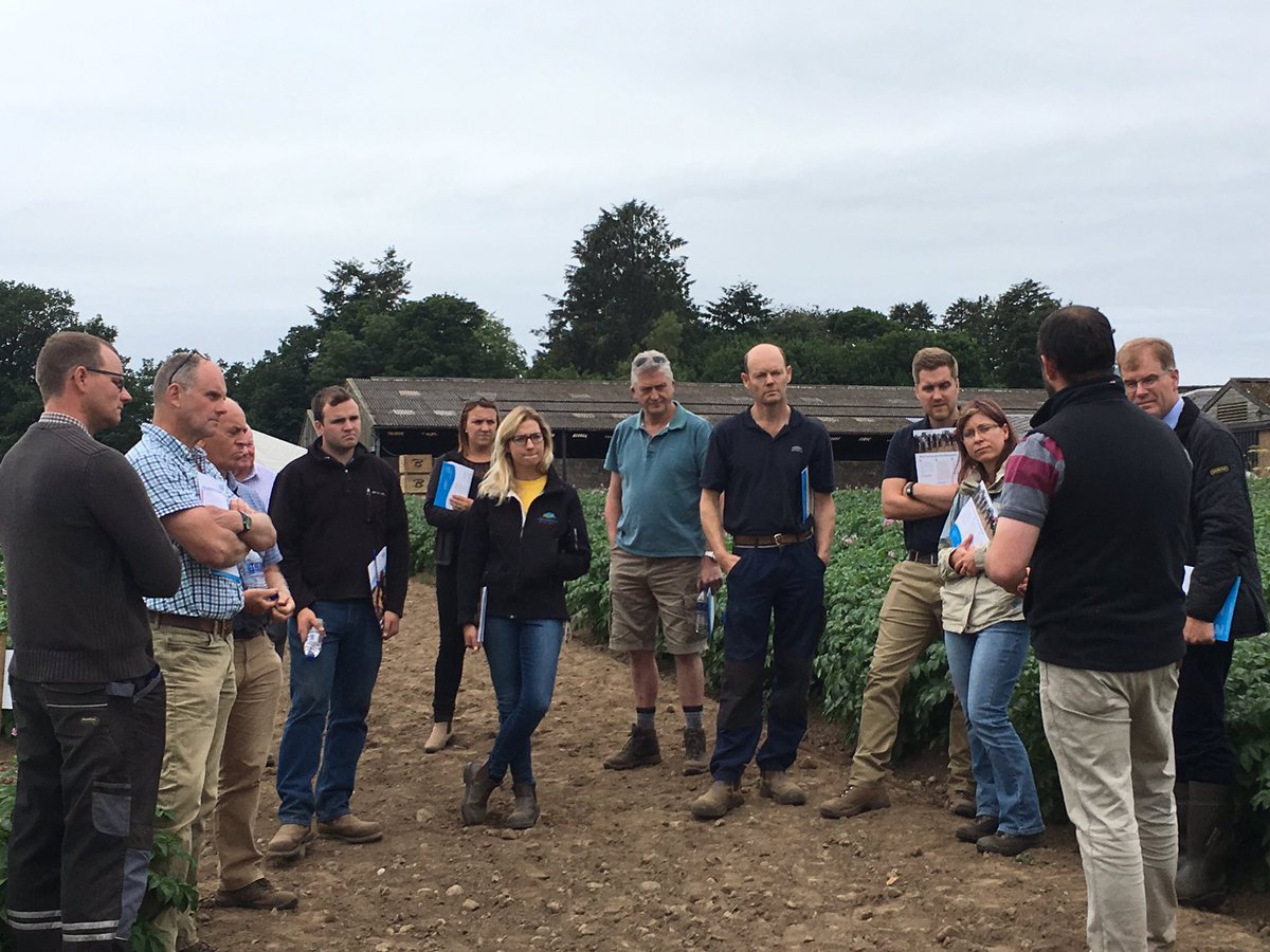AHDB_Scot's tweet photo. Cover crops under discussion at our #spotfarm Scotland - are they worth the investment and what should you plant? At #SPot we are comparing vetch, oats and a mix with stubble @AHDB_Potatoes https://t.co/0PZbXd1X6N https://t.co/SqLfXWeLz7