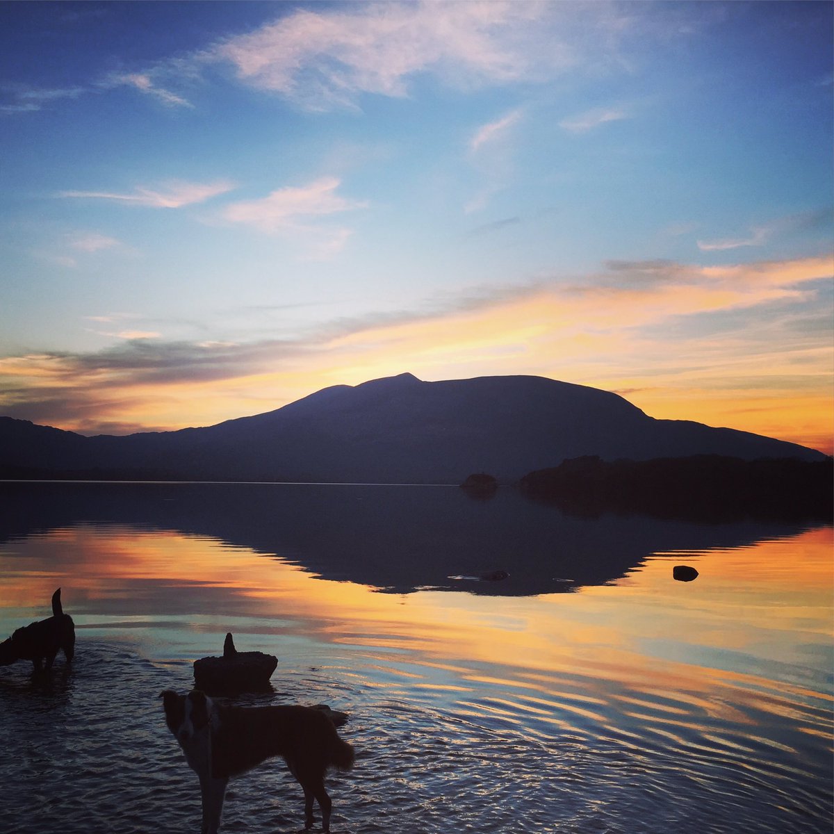 Killarney sunsets are the best! <a href="/BBC_Travel/">BBC Travel</a> <a href="/TBEXevents/">TBEX | Travel Blog Exchange</a> <a href="/GoldenIreland/">Golden Ireland</a> <a href="/TourismIreland/">Tourism Ireland</a> <a href="/gotoirelandSA/">Tourism Ireland SA</a> <a href="/TIindustryOpps/">Tourism Ireland Industry</a> @GoToIrelandGCC