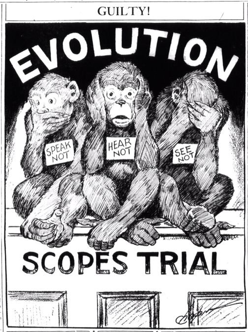 what was the result of the scopes monkey trial