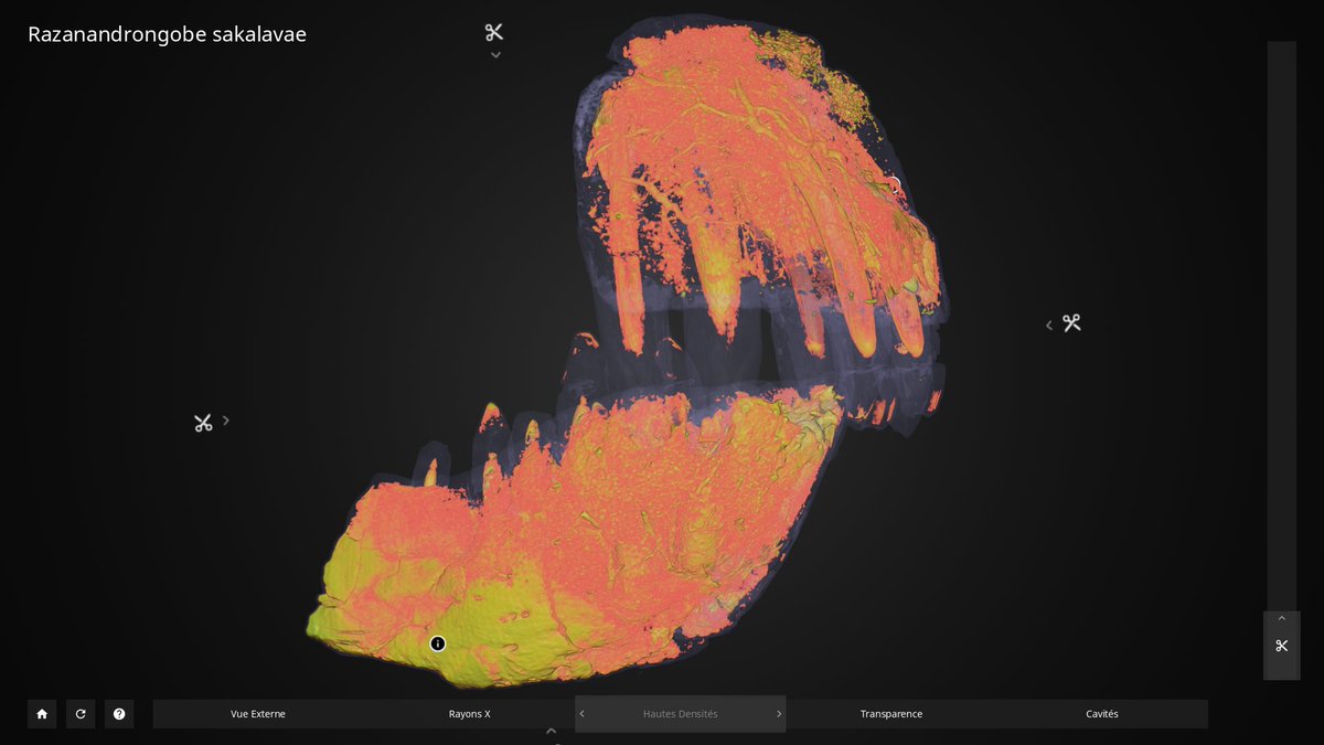 IMA Solutions - Benjamin Moreno tweet media