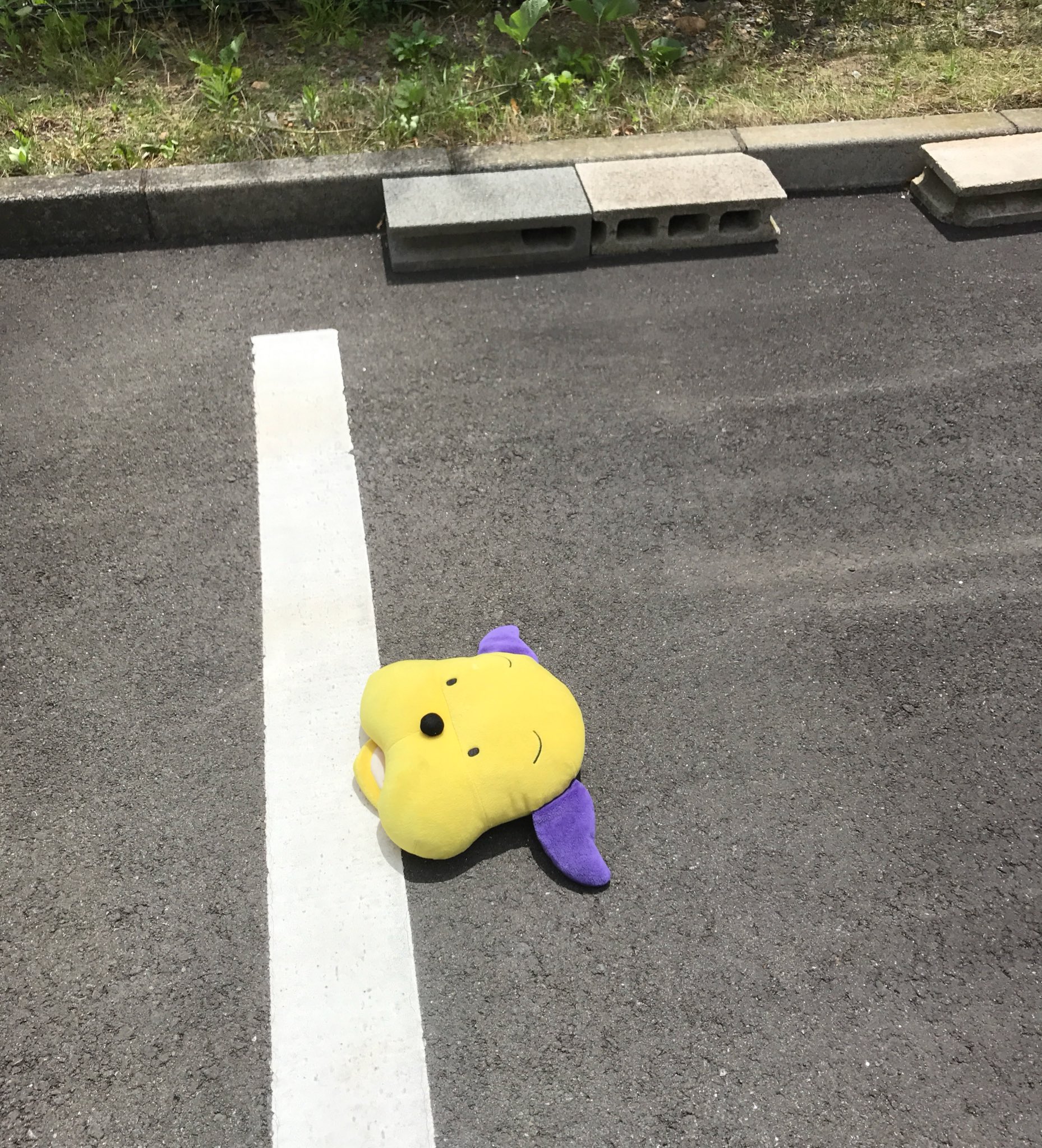 当時物 住友信託銀行 しんたくん ぬいぐるみ 企業もの 当時物 住友信託銀行 しんたくん ぬいぐるみ 企業もの - メルカリ