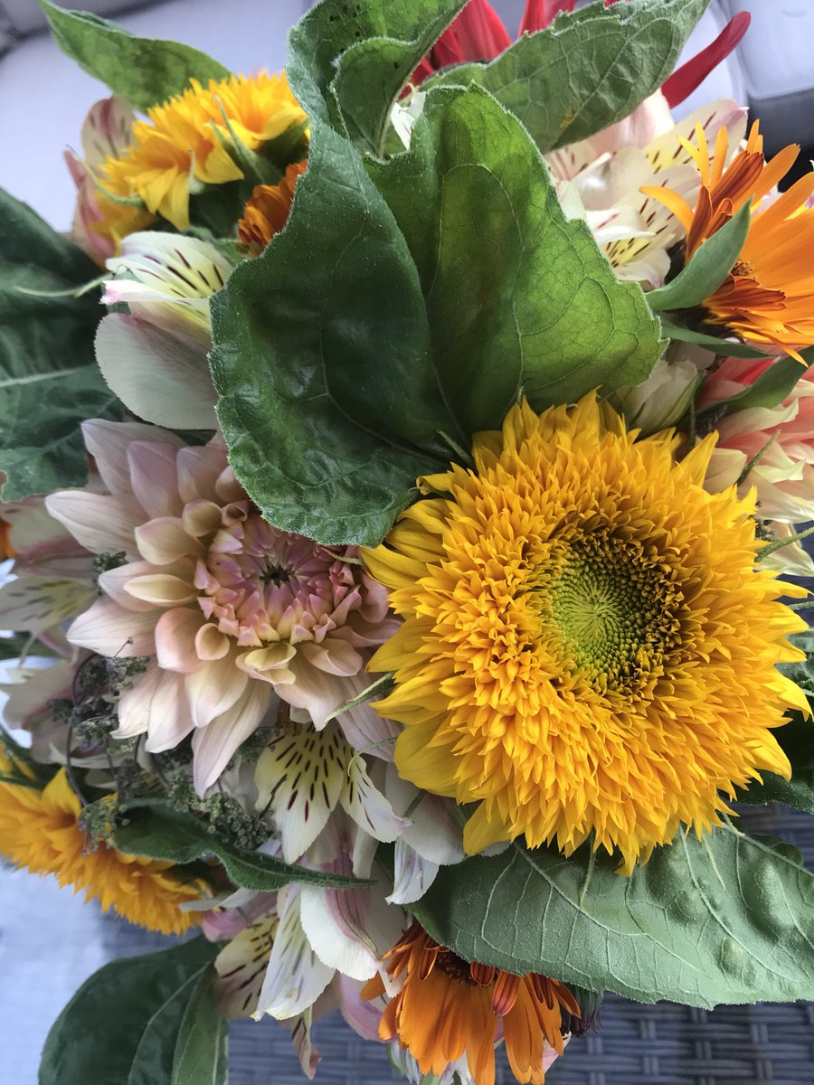 These teddy bear sunflowers are just 😘 also loving the tones of #dahlia #calendula & #alstroemerias 

#cutflowers #sustainablefloristry #grownnotflown #BritishFlowers #botanicalpickmeup