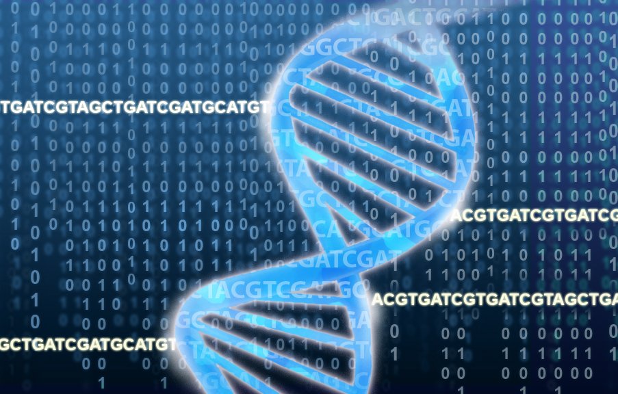Investigadores del <a href="/CRGenomica/">Centre for Genomic Regulation (CRG)</a>, en colaboración con el #IRBBarcelona, identifican nuevos genes relacionados con el riesgo de sufrir #cáncer utilizando el Big Data. El estudio ha sido publicado en <a href="/NatureComms/">Nature Communications</a> 🧬

📰 👉 ow.ly/Wto330kSGVw