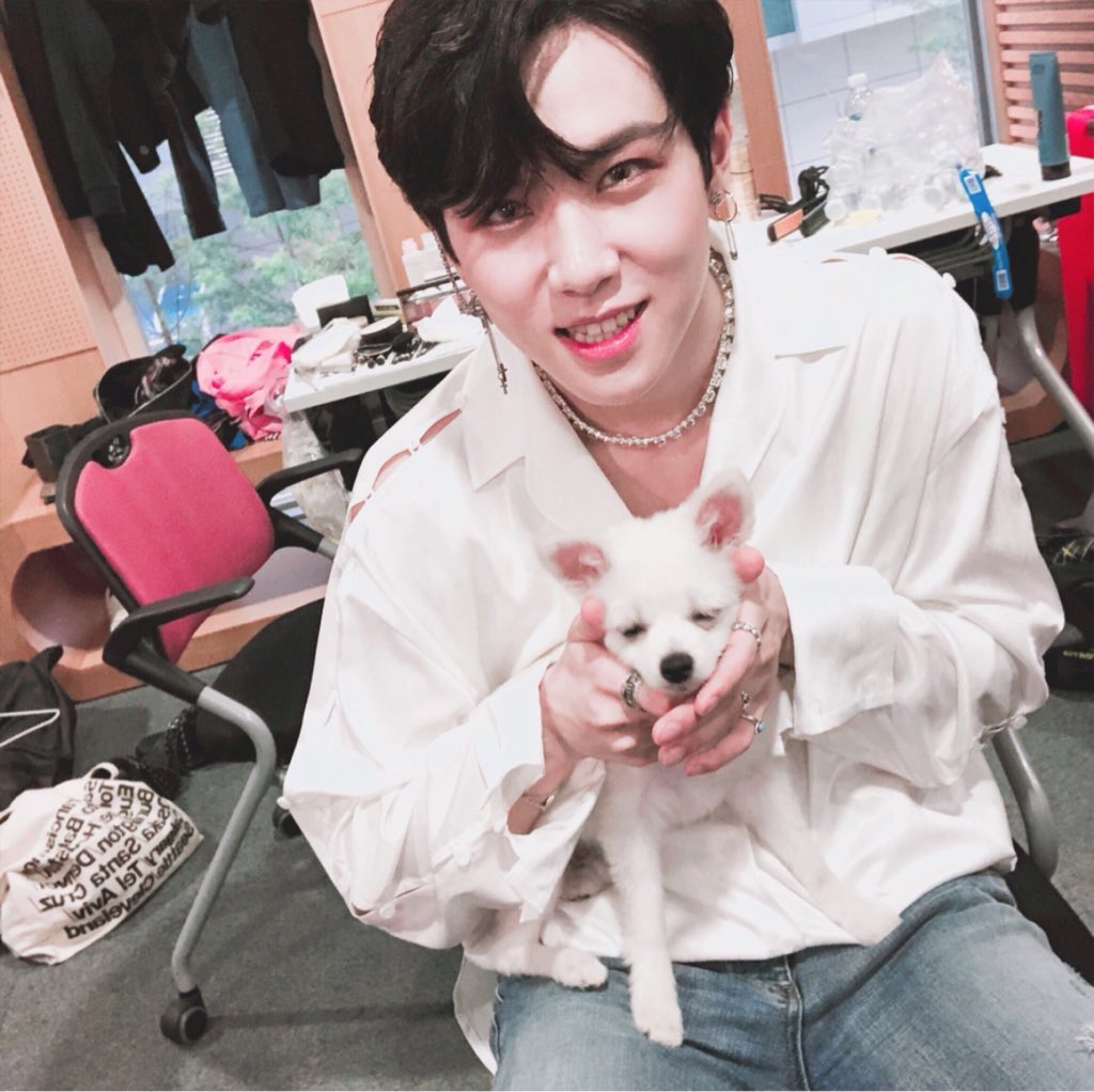 07031998_'s tweet photo. 누가 댕댕이고 누가 사람이지?! https://t.co/20vl97QGkY