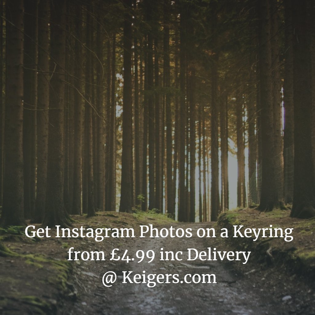 igkeyring's tweet image. Enjoy the coolness of the trees #nature