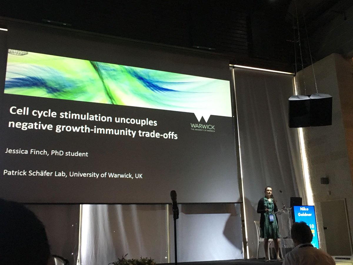 The Schäfer lab's Jess Finch (<a href="/PlantSci74/">Jess Finch</a>) presenting at #ISRR10