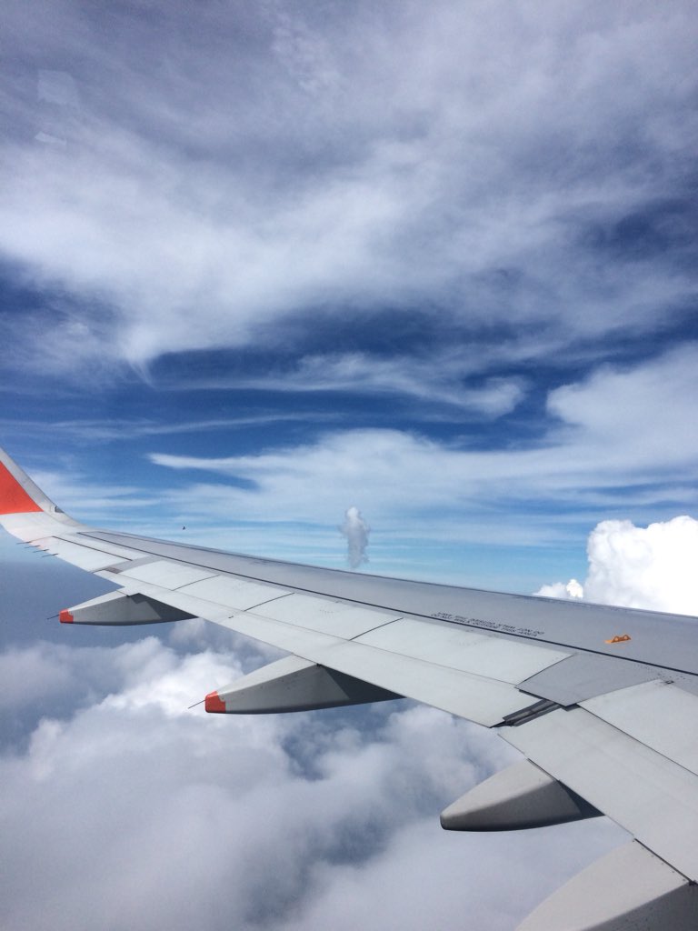 「そういや、帰りの飛行機で、生命体じみた雲がいたんだ… 俺は勝手に「フォッグマン」」|ｼｦのイラスト