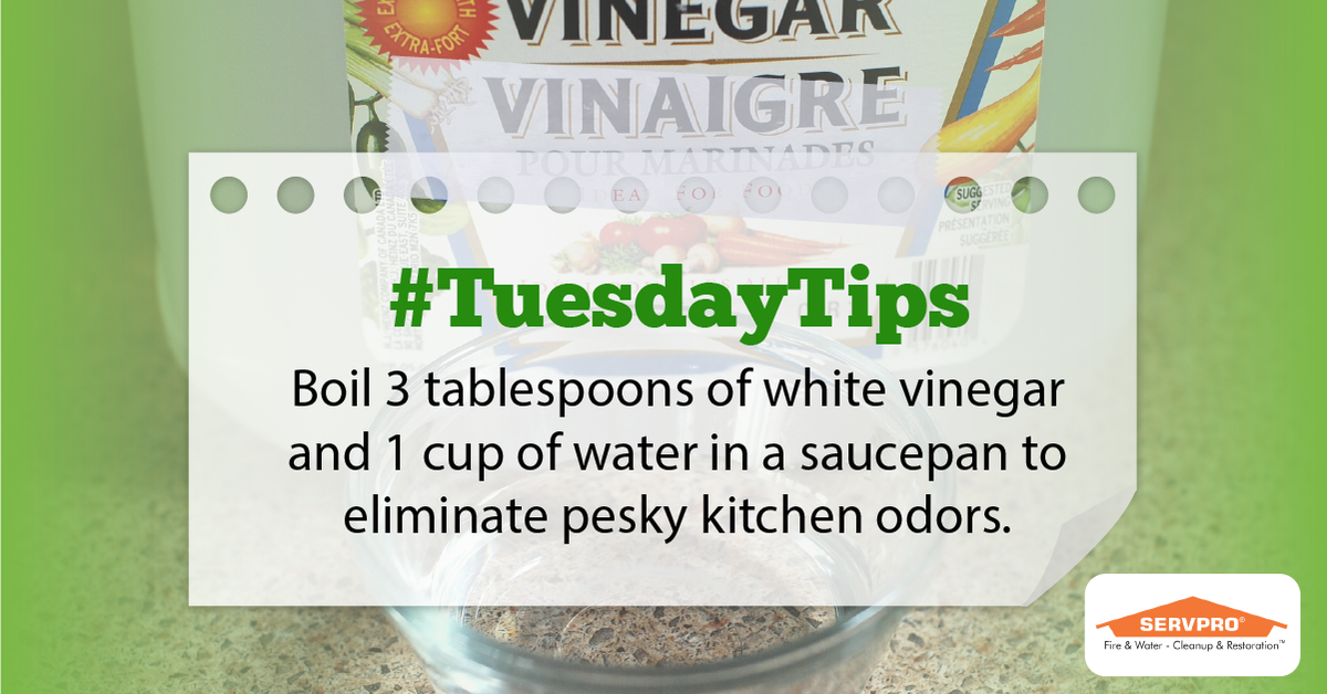 Here is a quick fix for pesky kitchen odors. #TuesdayTips