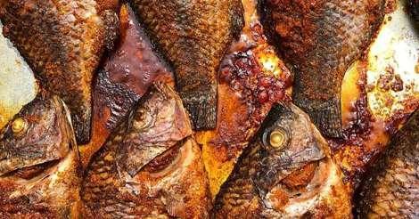 how to bake tilapia how to bake tilapia
