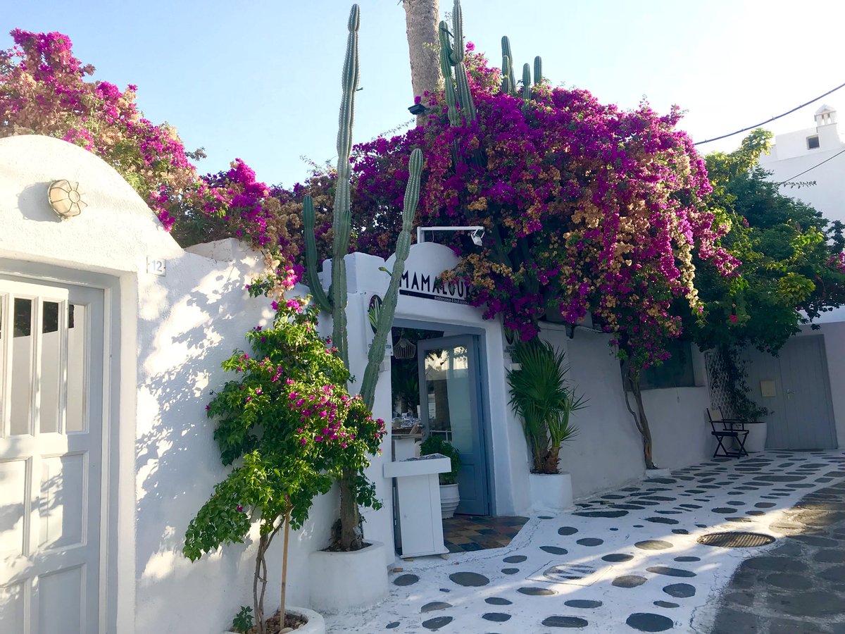 _bates11's tweet photo. Missin Mykonos already https://t.co/xXnbcyK9Uq
