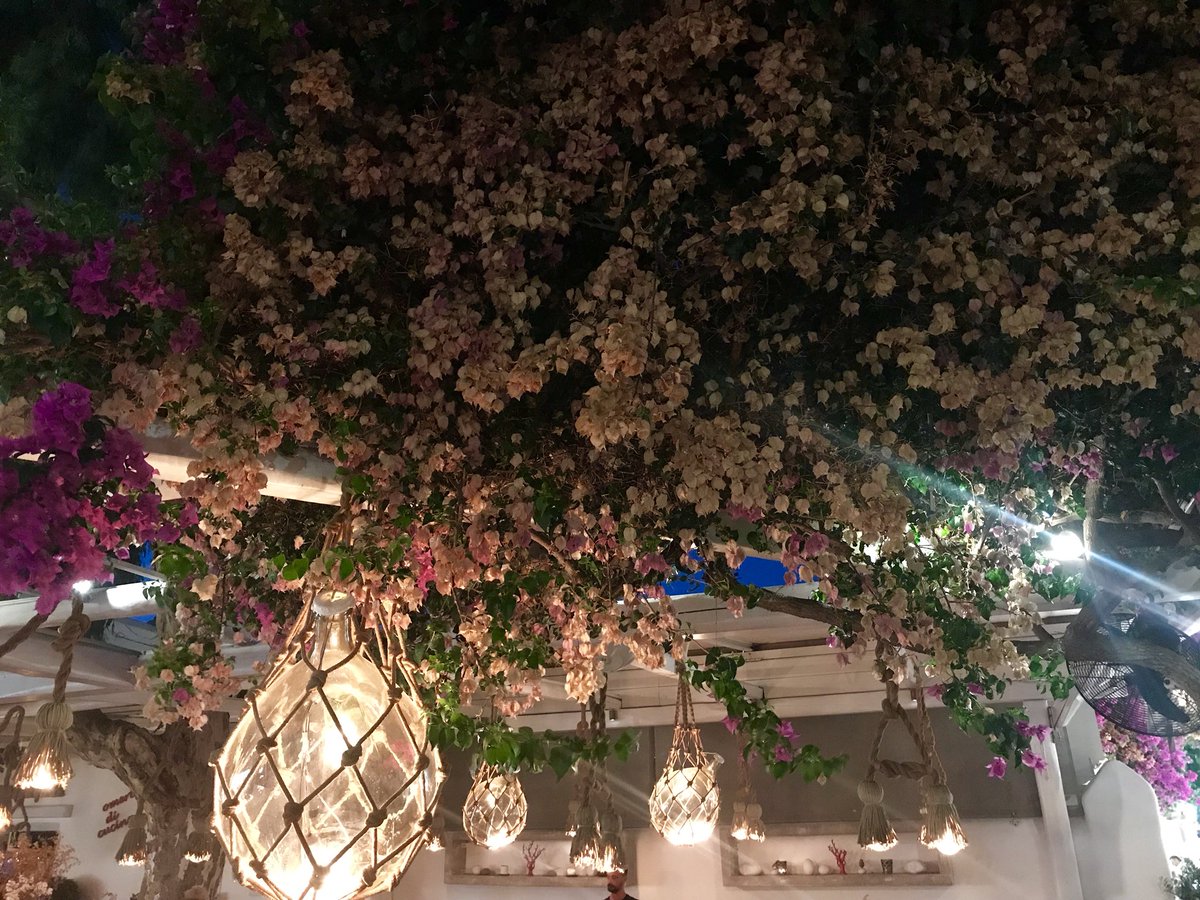 _bates11's tweet photo. Missin Mykonos already https://t.co/xXnbcyK9Uq