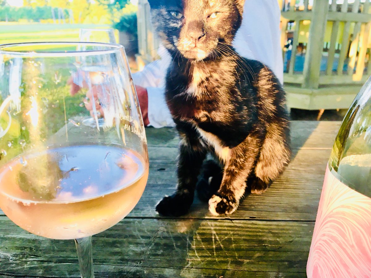 SummerWindVines's tweet photo. Rose’ with her Rose’!  Haha❤️🤪🍷 https://t.co/9l09Ltl3R2