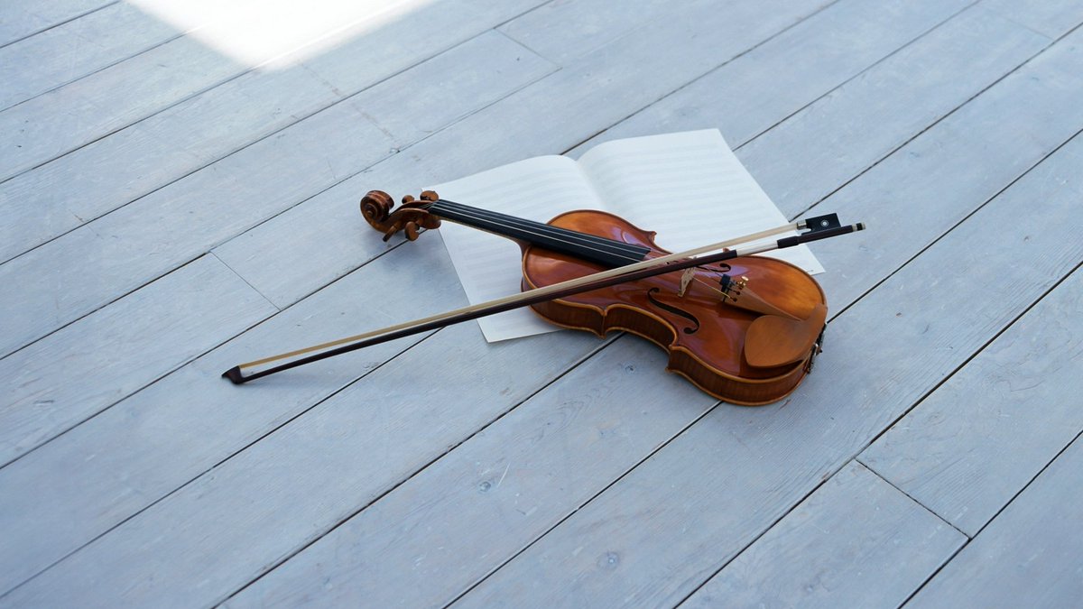 sherlock_white's tweet photo. My new friend, about to learn!! https://t.co/Rkq5BrDi7j