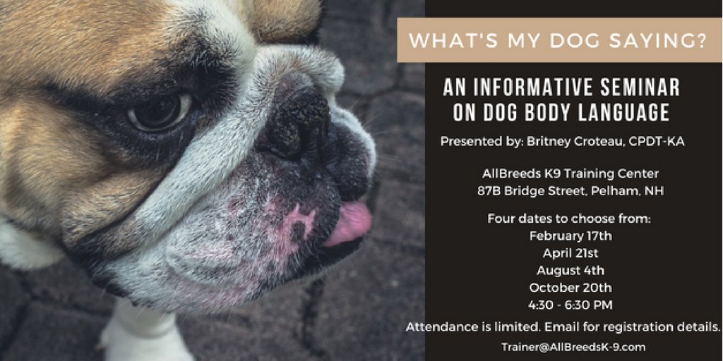 Allbreeds K9 atelieryuwa.ciao.jp