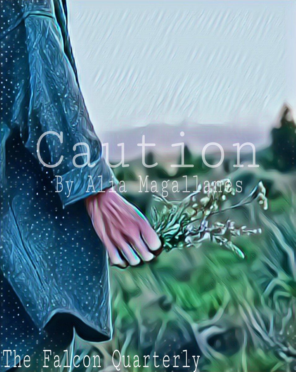 FalconQuarterly's tweet photo. The Quill: Daily presents "Caution" https://t.co/zSHigDpXcu