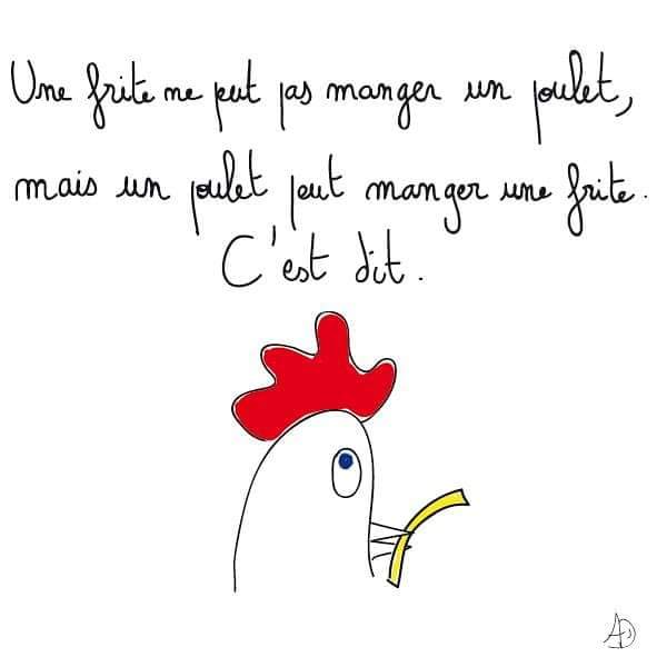 "Une frite ne peut pas manger un poulet, mais un poulet peut manger une frite. C'est dit." #FRABEL #FranceBelgique #FRA #BEL