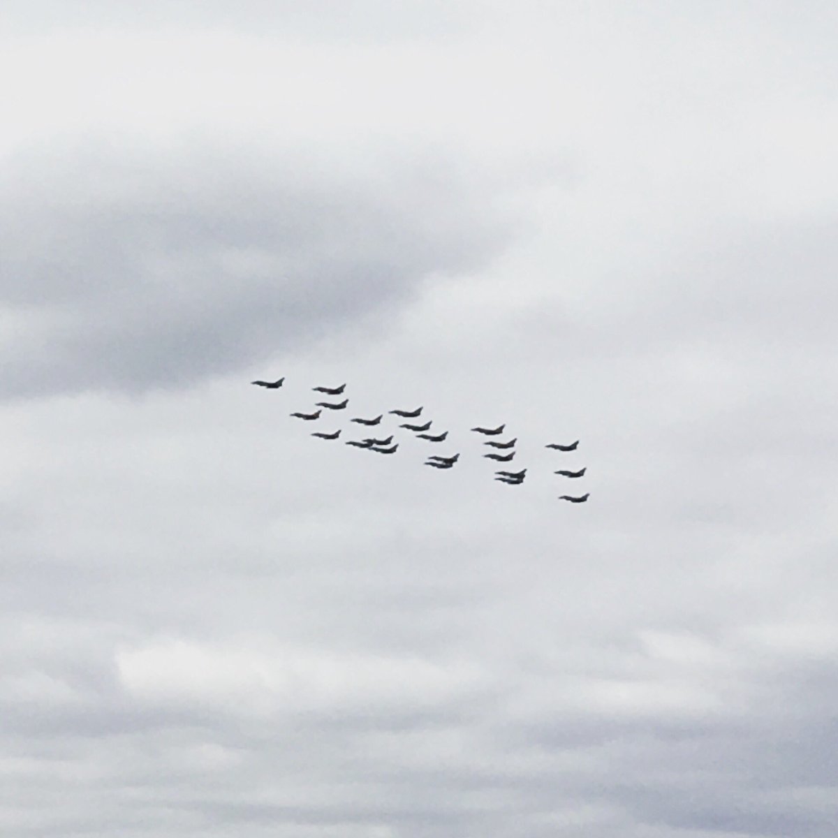 〄 (@outlookexplorer) on Twitter photo 