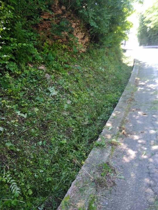 Città di Feltre tweet media