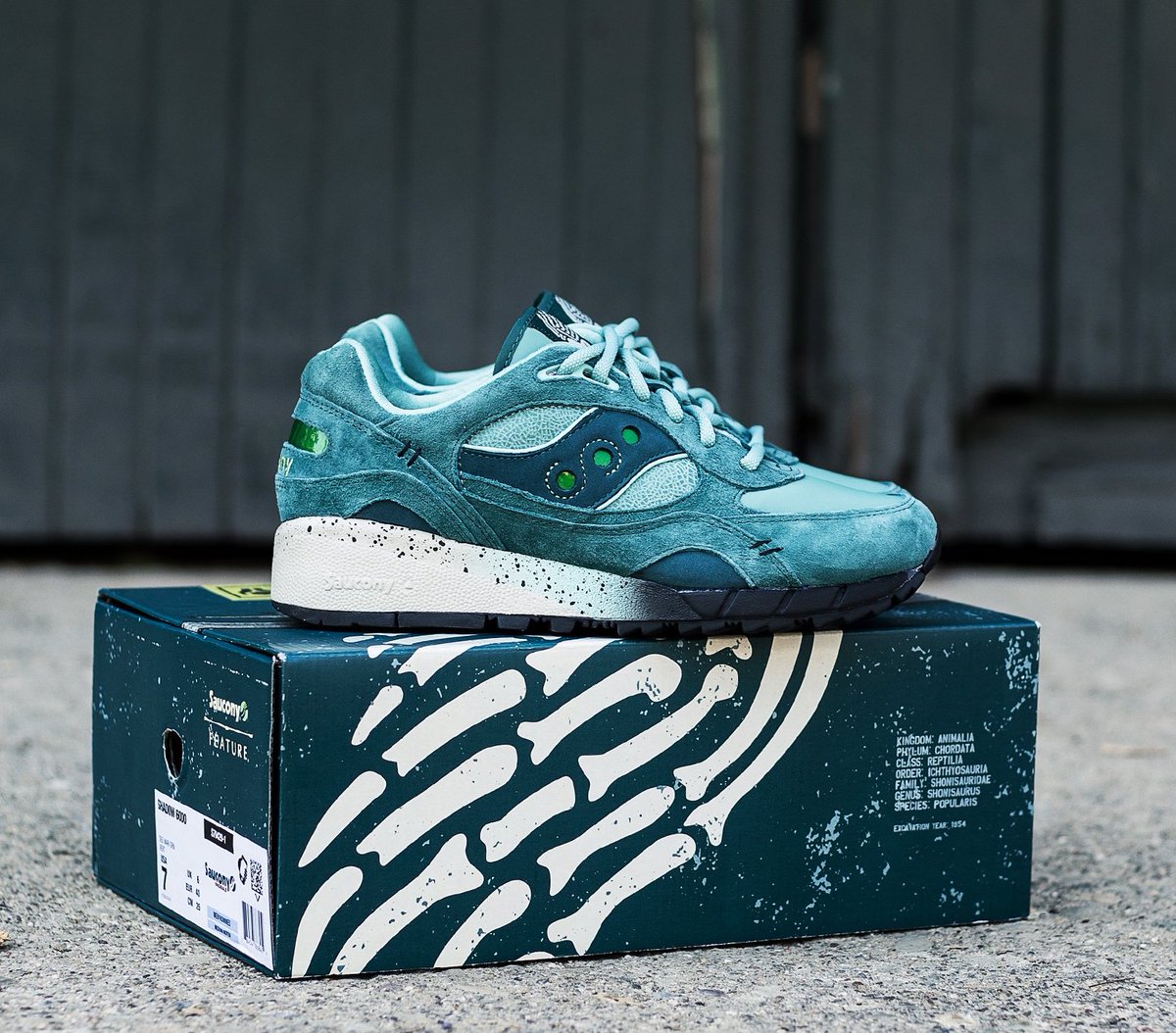 saucony fossil