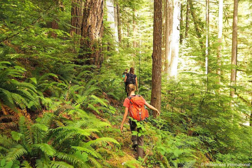 "I follow #animal #tracks to a side branch of the Toba River. Carefully, I approach, hoping to see a #beaver or an #elk by the water..." Our environmental ambassador Max is exploring the #forest today for his #research project. Follow him! #expedition2018 wilderness-international.org/en/auf-spurens…