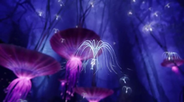 Alucard_ms's tweet photo. /Era de noche y estaba en el bosque no era todo oscuro ya que algunas planatas lo iluminaban un poco estaba sentado enfrente de una mesa Para dos en ella había 2 plato con un filete y unas verduras salteadas dos copas con sangre de Dios y una botella de vino, se estaba allí muy+ https://t.co/UJoG0I7cmI