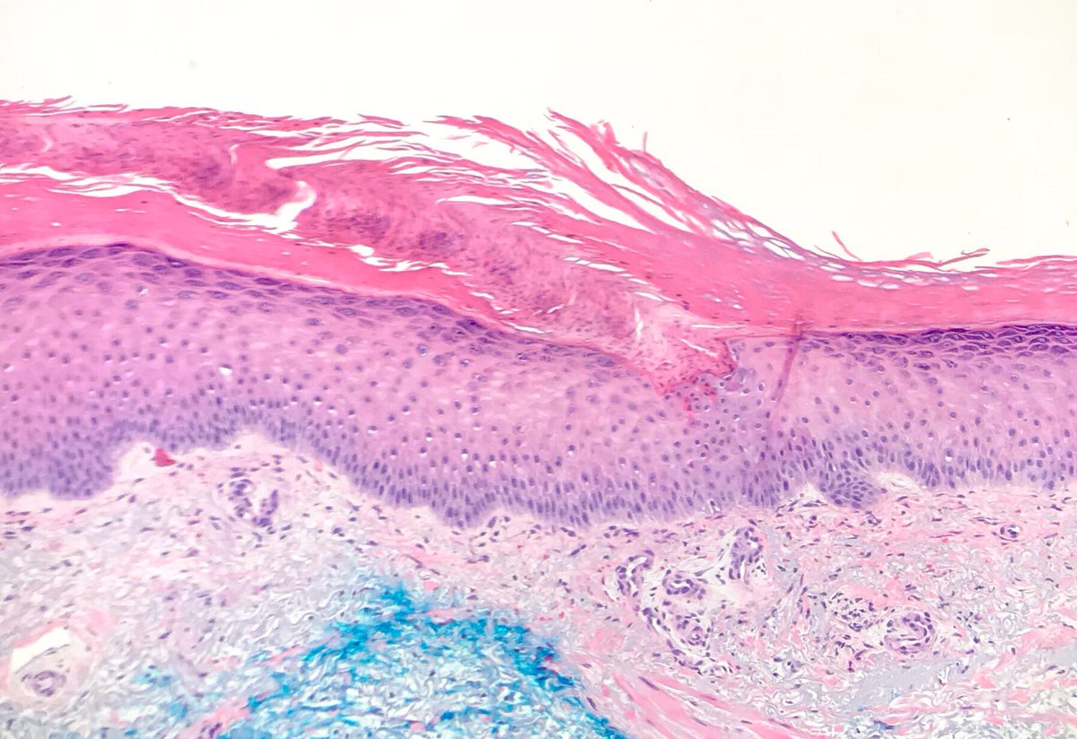 James A. Ramirez tweet media