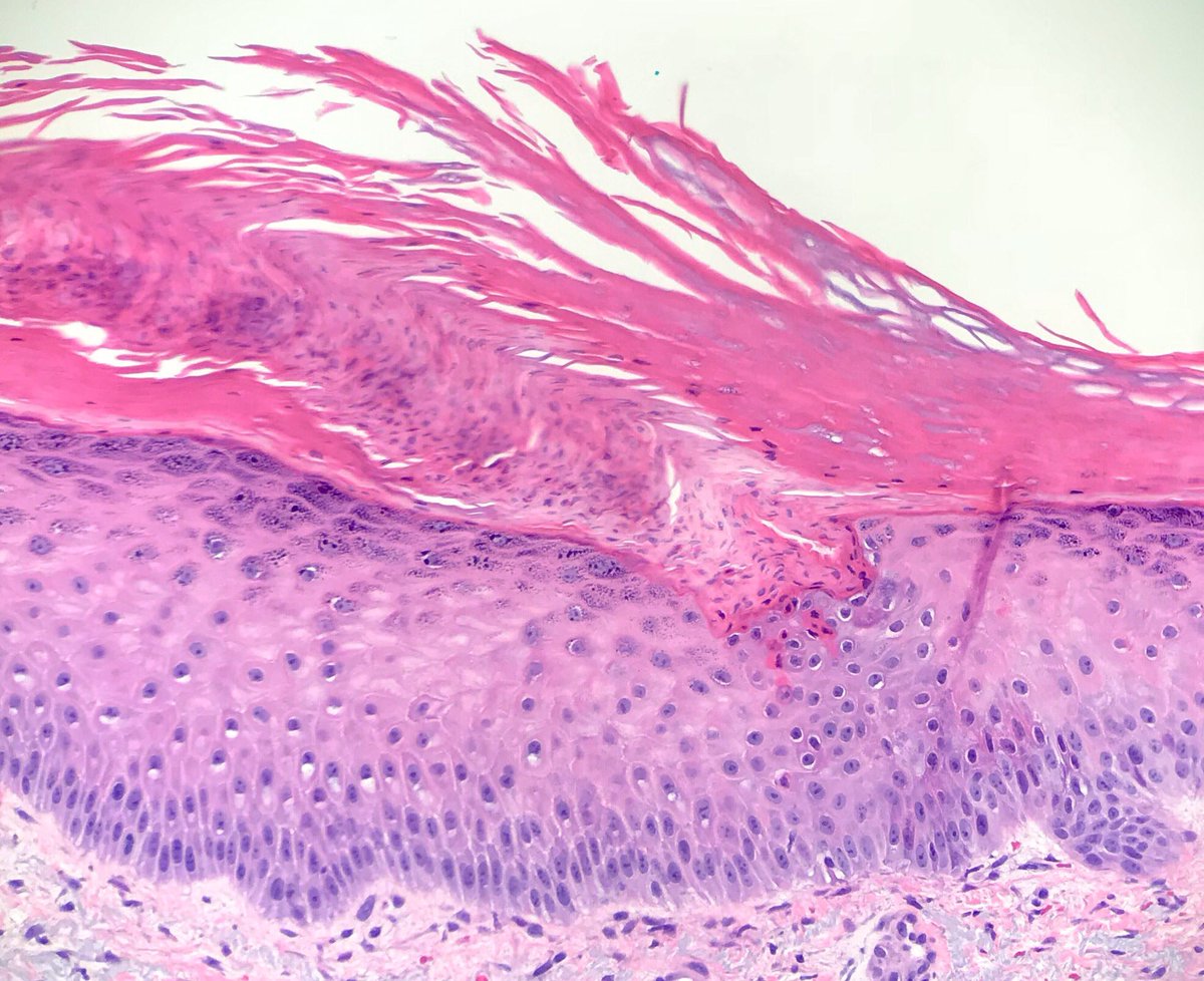 James A. Ramirez tweet media