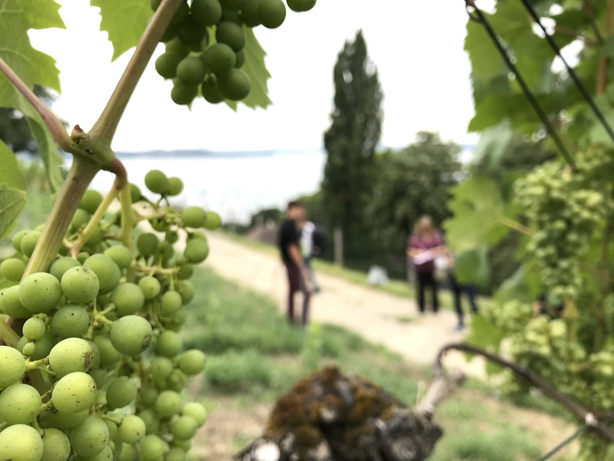 SchifffahrtURh's tweet image. Heute haben wir den #Thurgauer #Journalisten unseren #Arenenberg #Ausflug (#Schifffahrt inkl #Weindegustation und #Napoleon #Historie) vorgestellt.