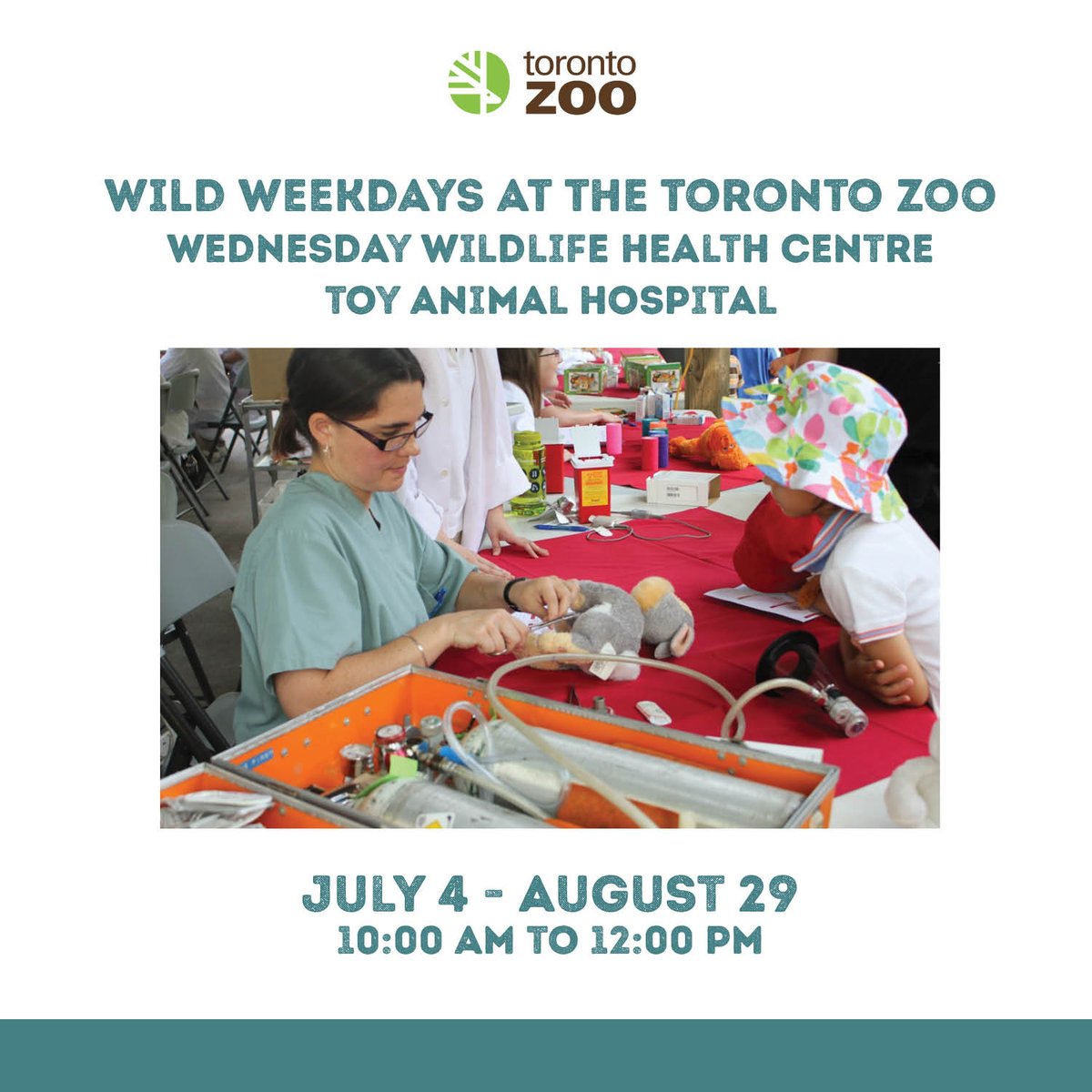 The Toronto Zoo on Twitter: "Join us for the Wildlife Health Centre Toy ...