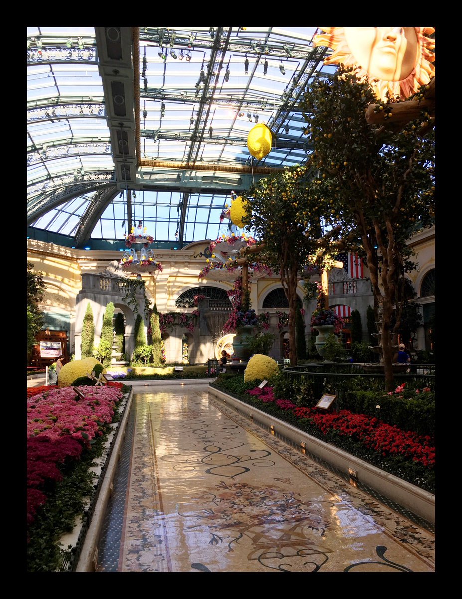Erkb's tweet image. Beautiful day at the Bellagio☀️ #LasVegas #poker