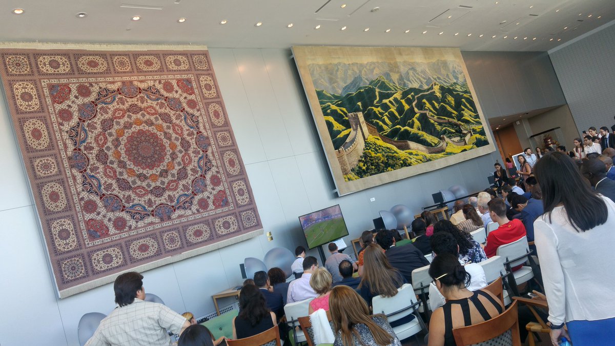 JPMayrhofer's tweet photo. BE vs FR. Congrats to @UNDESA for a well organised HLPF! https://t.co/Wp0PuViLLy