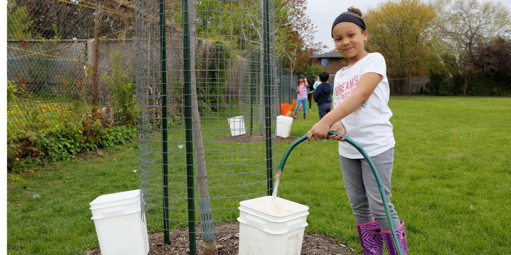 EcoSchoolsCAN's tweet photo. Don't forget that along with plants and gardens, trees need water during the summer too (especially young ones!). Check out our resource for using the bucket watering method to keep your trees green and healthy all year long: https://t.co/IyAQrgea5Y https://t.co/qNAVBbPW0b
