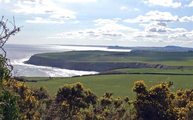 YorkshireHol's tweet photo. Lowfield Log Cabins has a fantastic offer available for anyone looking to holiday in #Yorkshire this Summer near #Scarborough!

10% off per week stay! Available:
Week Beginning 28 July
Week Beginning 4 Aug
&amp; week Beginning 25 Aug

Get in touch at lowfieldlogcabins@gmail.com https://t.co/T1UhkxJ2XL