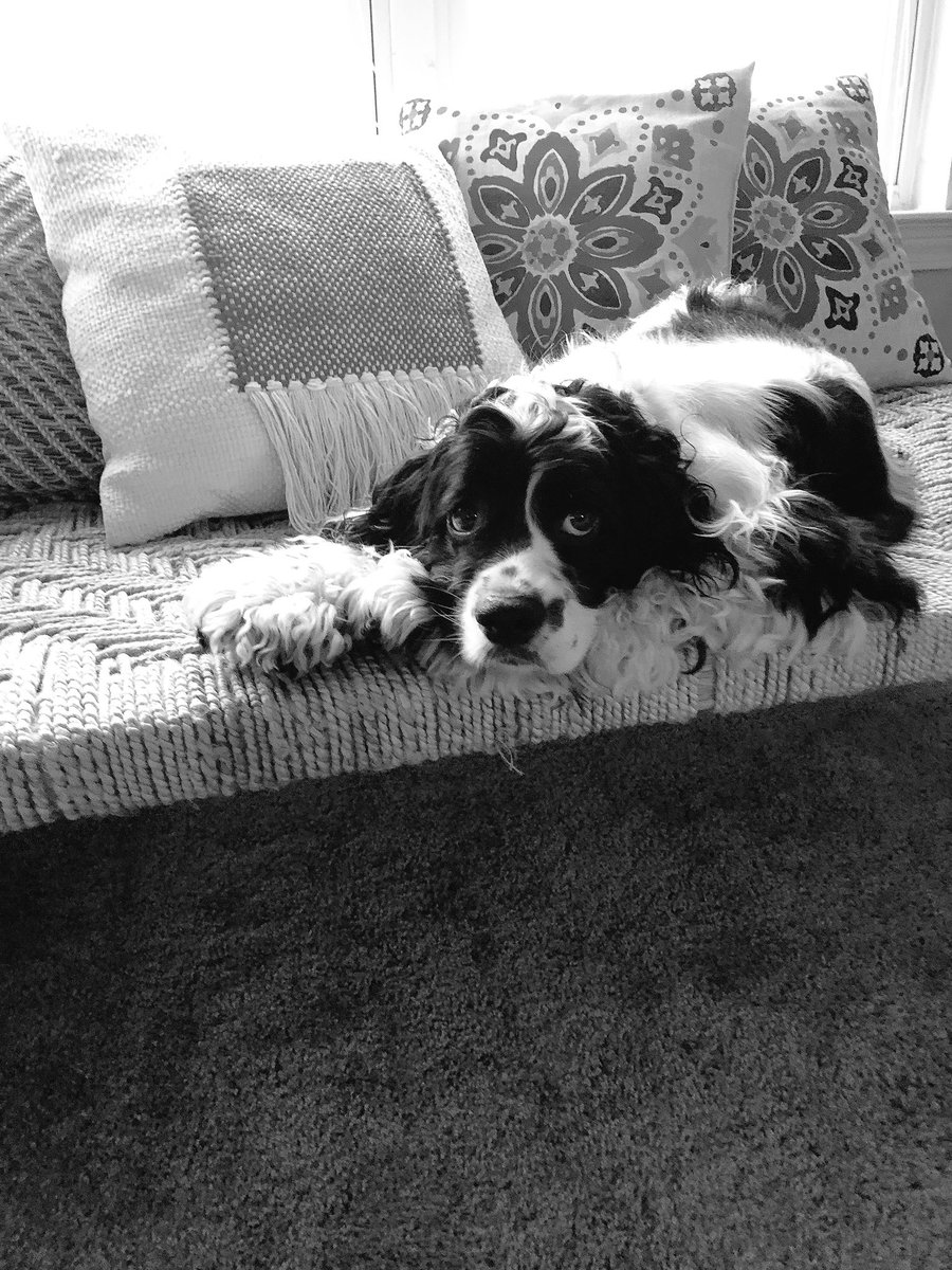 tipton_drew's tweet photo. My face when my alarm went off this morning https://t.co/ApoZowMOi5