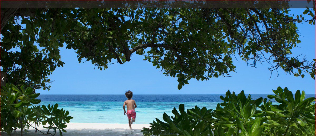 DertourPolska's tweet photo. 🌴🌴Egzotyczne wakacje rodzinne w wersji #DELUXE🌴🌴 #DEROFERTA https://t.co/OWqcwzQthy