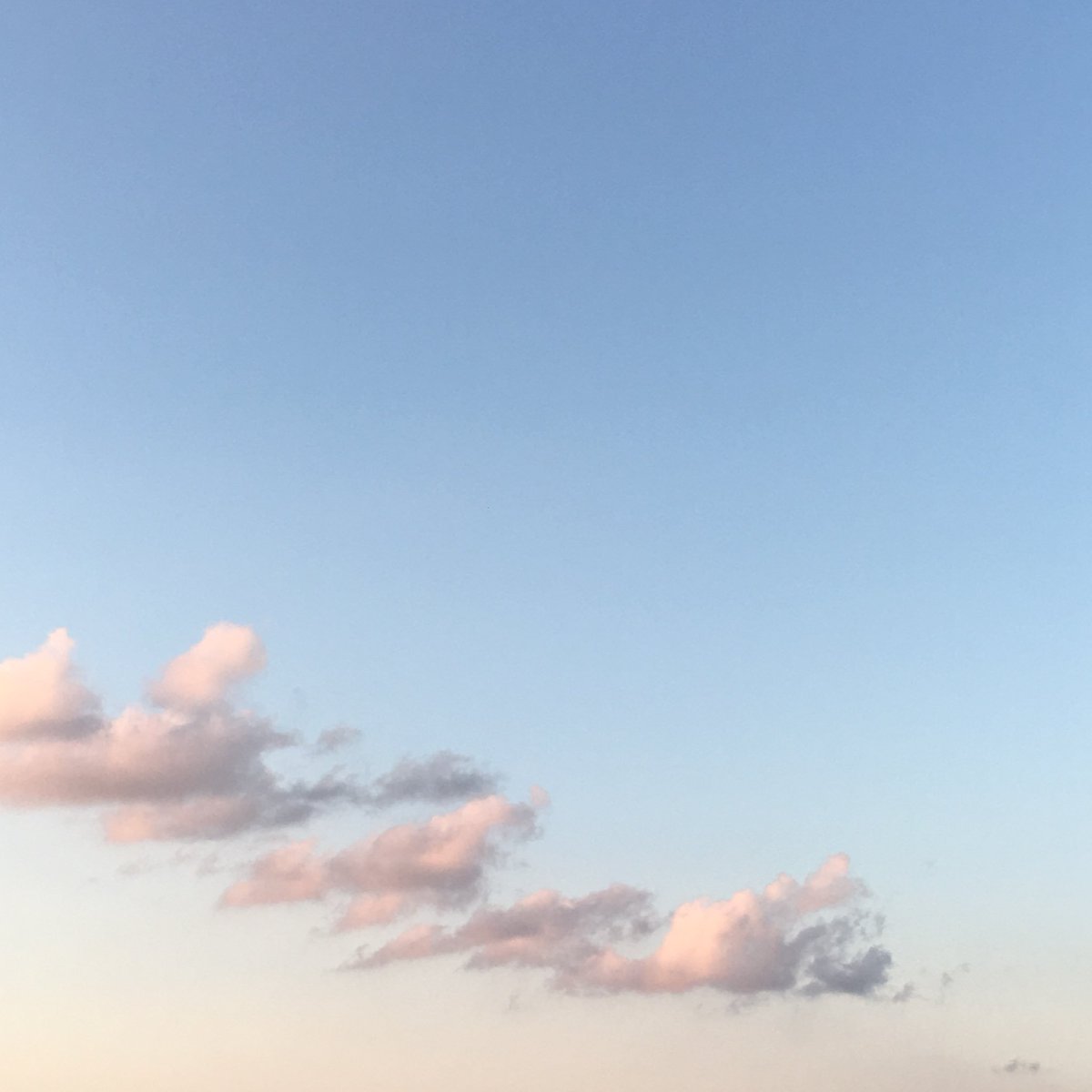 เ ว้ น ว ร ร ค ◦ soul in bloom ✿ tweet media